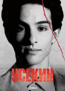 Усекин